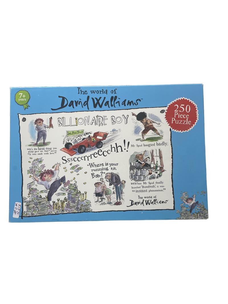 Preloved Toys - Billionaire Boy 250. Piece Puzzle The World Of David Walliams - Paul Lamond Games