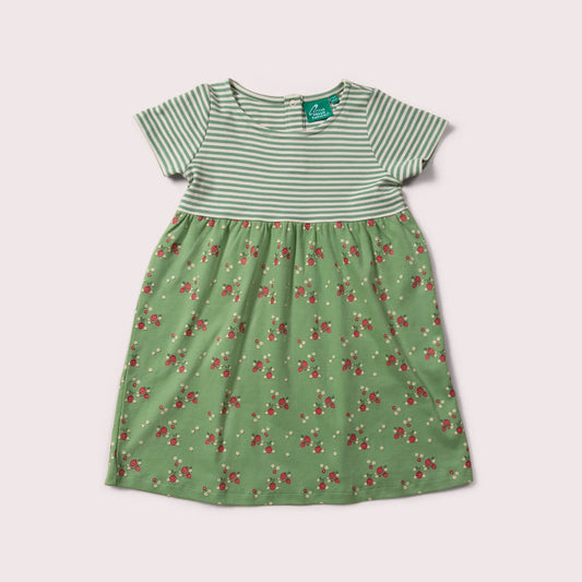 Little Green Radicals Grow Your Own Easy Peasy Dress Set