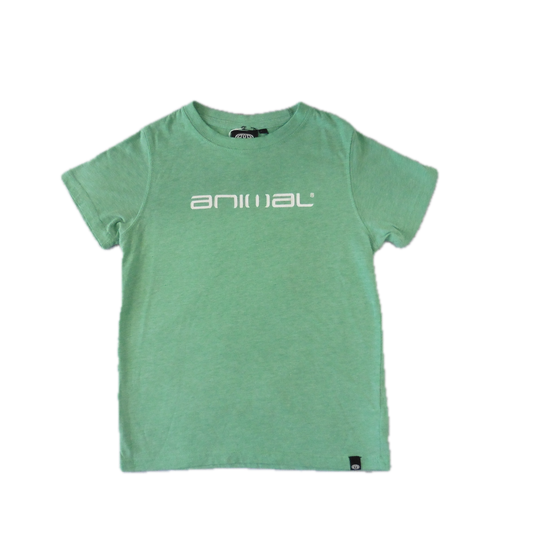 Preloved Animal Green T-Shirt 5-6y