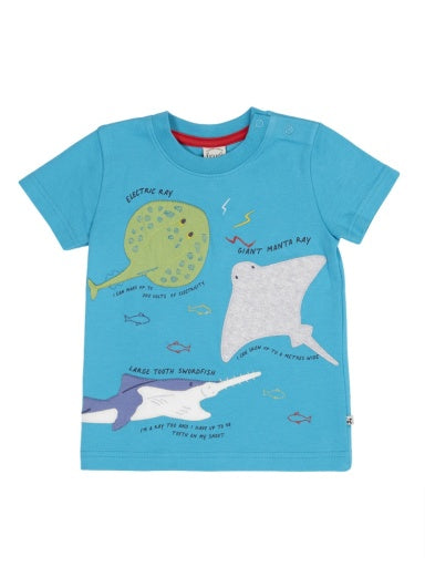Avery Circular T-Shirt - Tropical Sea/Rays