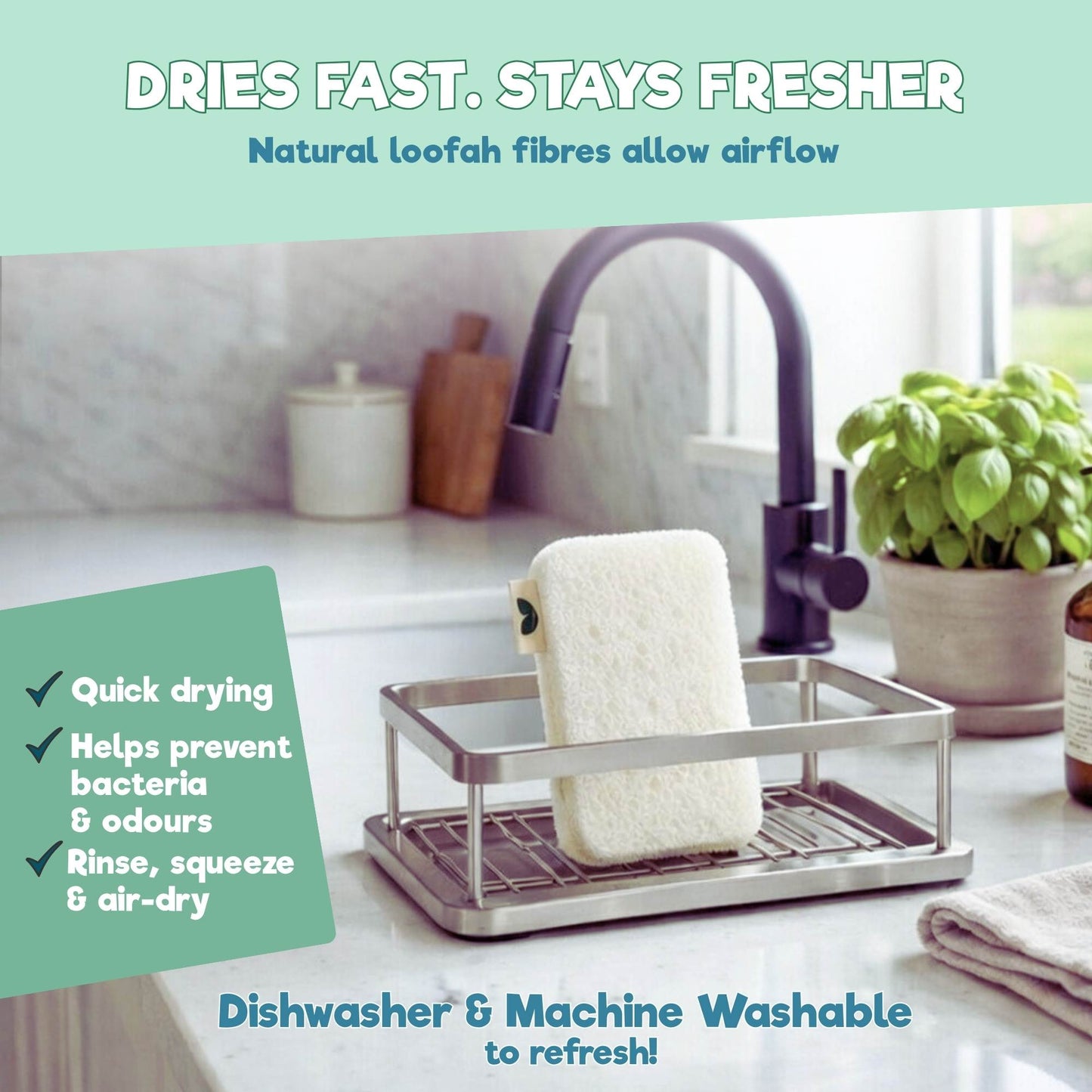 Loofah Scourer Eco Sponges (online only)