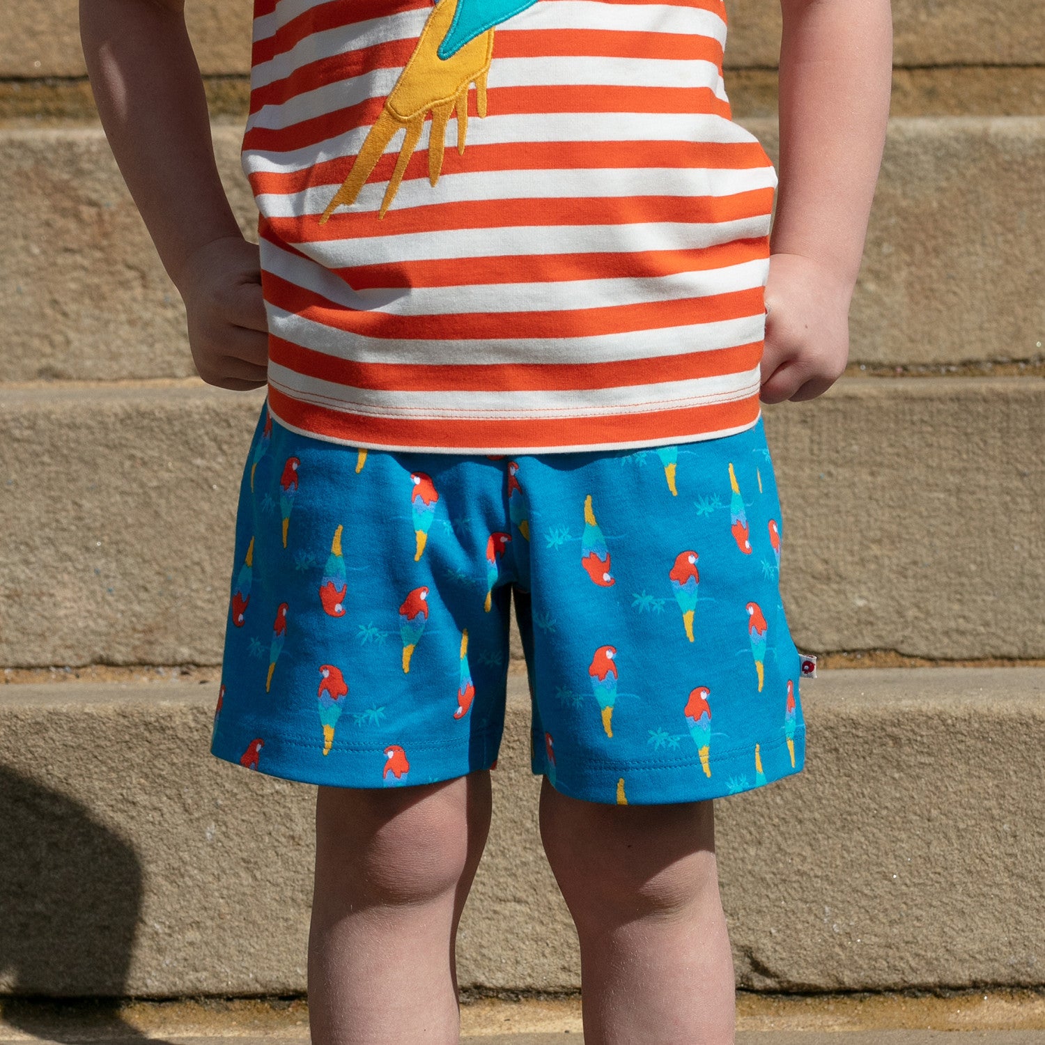 Piccalilly Shorts - Parrot