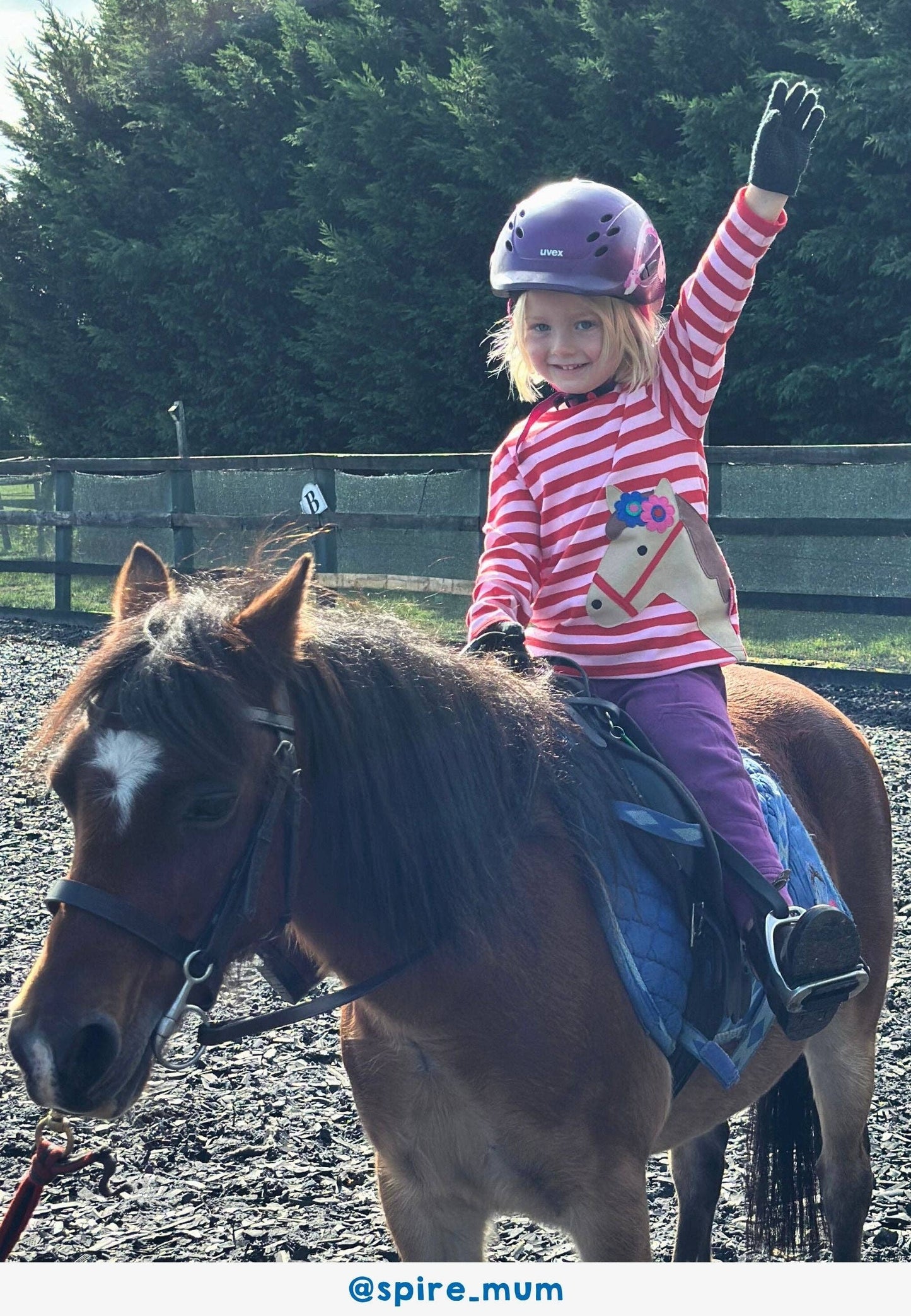 Organic Pink Horse Applique Long Sleeved T-Shirt