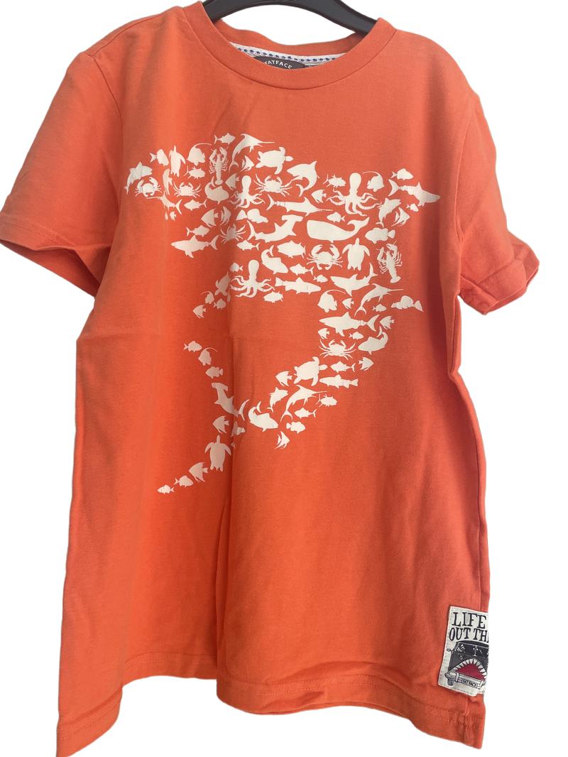 Preloved Fatface - Orange Ocean Animals Graphic T Shirt  (8-9y)