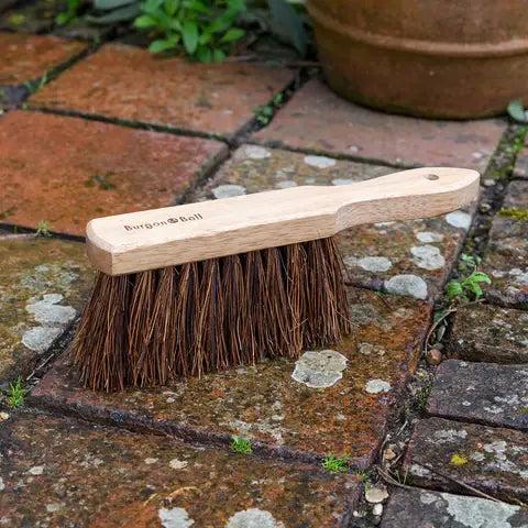 RHS Hand sweeping brush Bassine FSC 100%