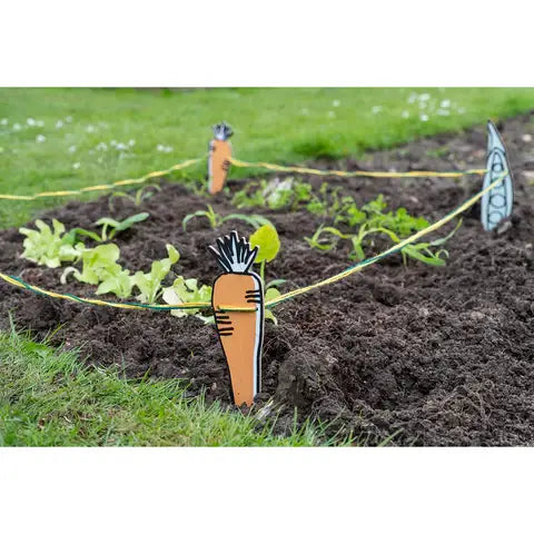 Growing Gardeners Vegetable Garden Set FSC 100%