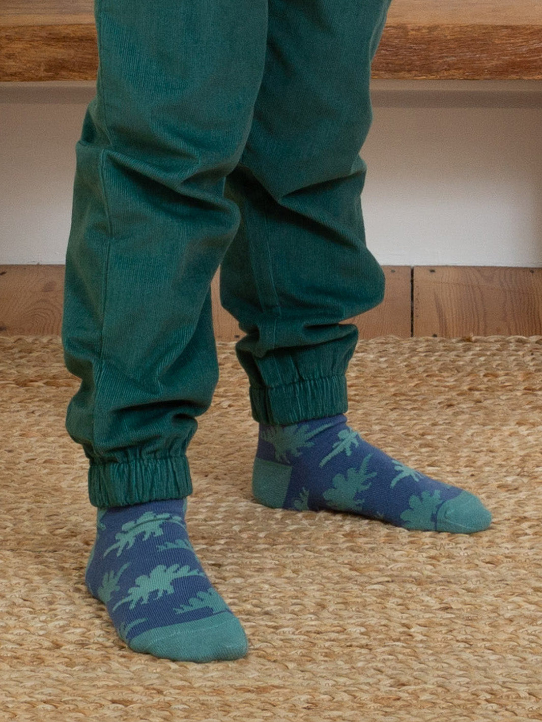 Kite Dino Socks AW 24