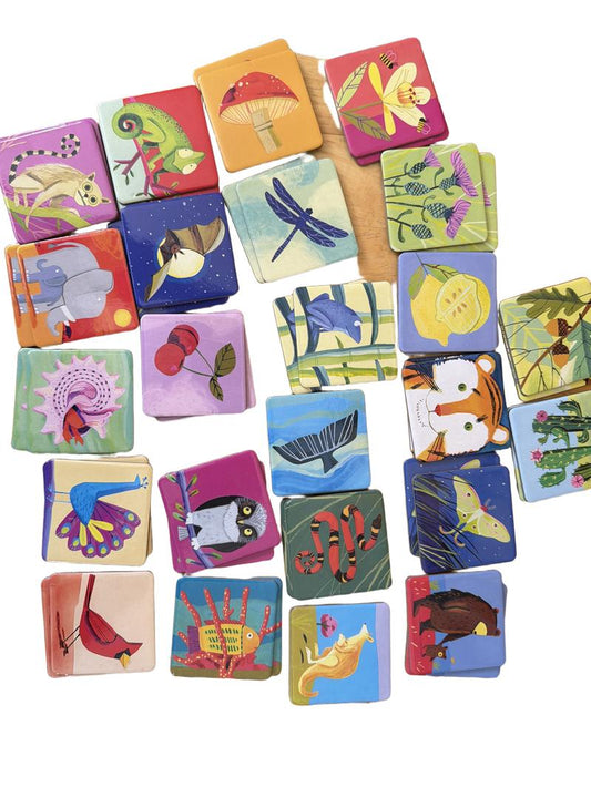 Preloved Toys - Life On Earth Memory And Matching Game - EeBoo