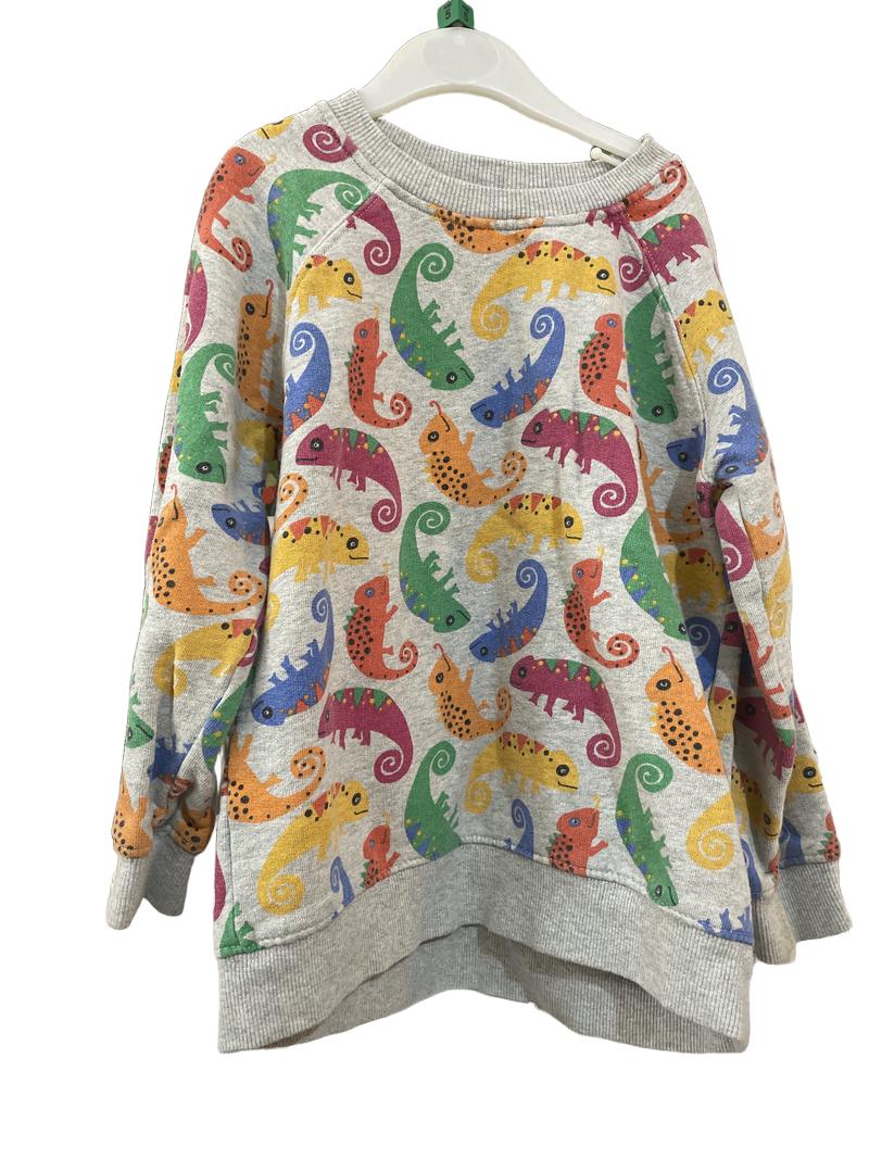 Preloved Frugi - Chameleon Jumper. (5-6y)