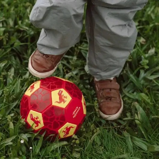 Crocodile Creek Dinosaur Illustrated Football Size 3 Kids