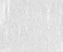 Tissue Paper Pack - 5 Sheets (50x66cm) Plain Printed Colour