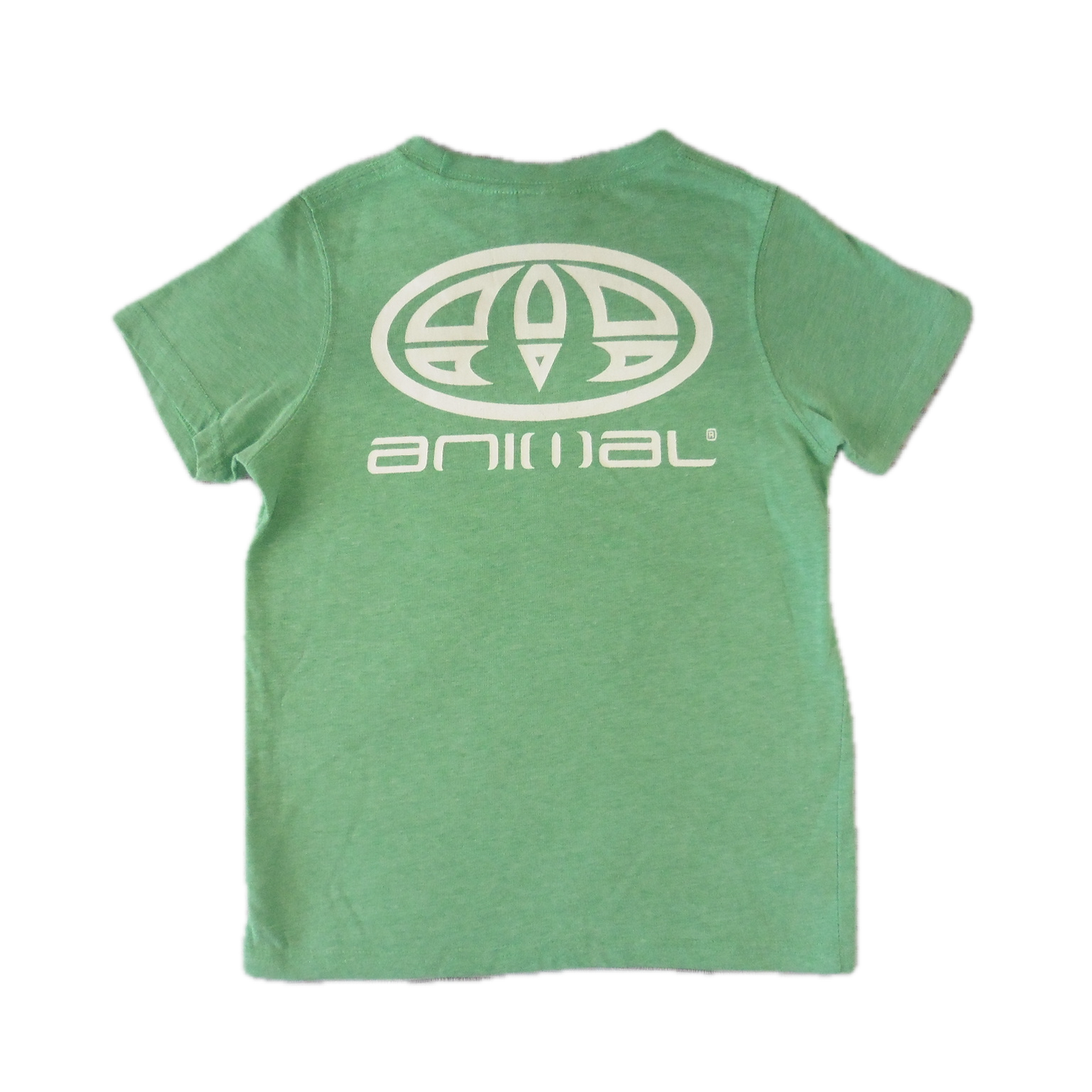 Preloved Animal Green T-Shirt 5-6y