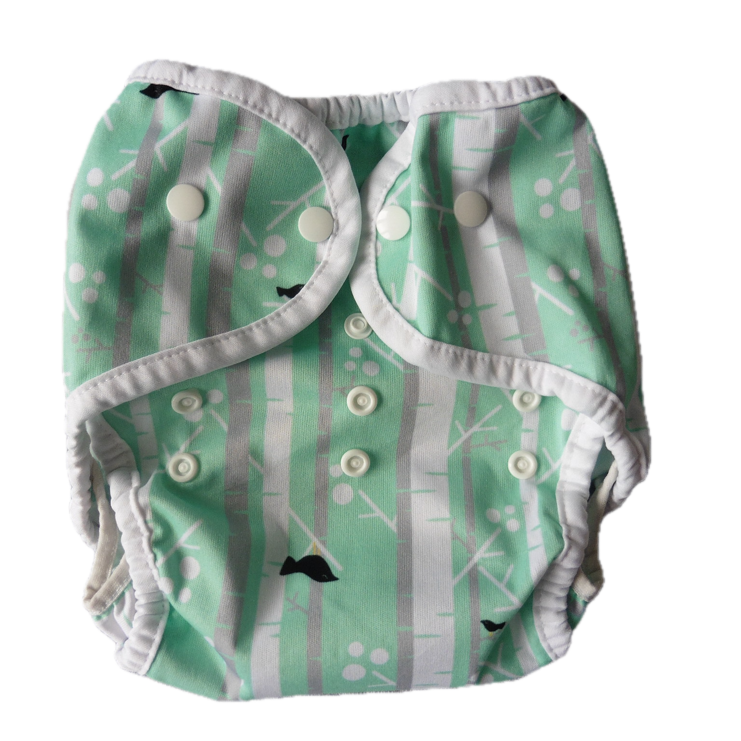 Preloved Bamberoos Cloth nappy & Thirsties mint cover Bundle