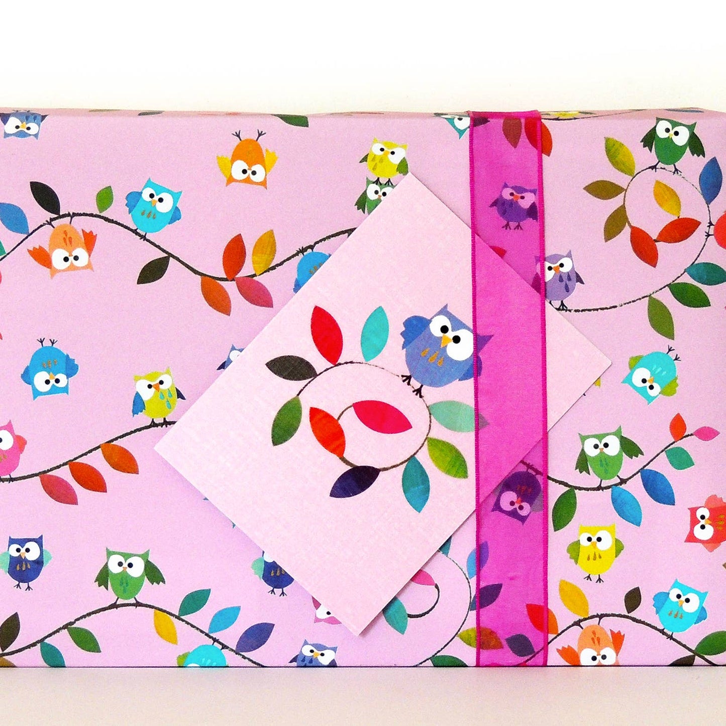 WP13 Owls Wrapping Paper