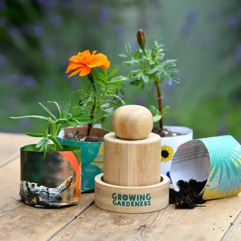 Growing Gardeners Make your own Seedling Paper