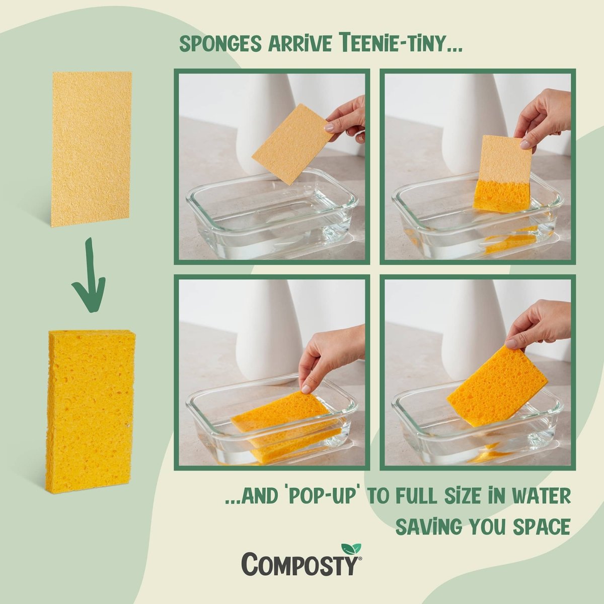Try-Me Bundle: The Better Sponge Family (online only)
