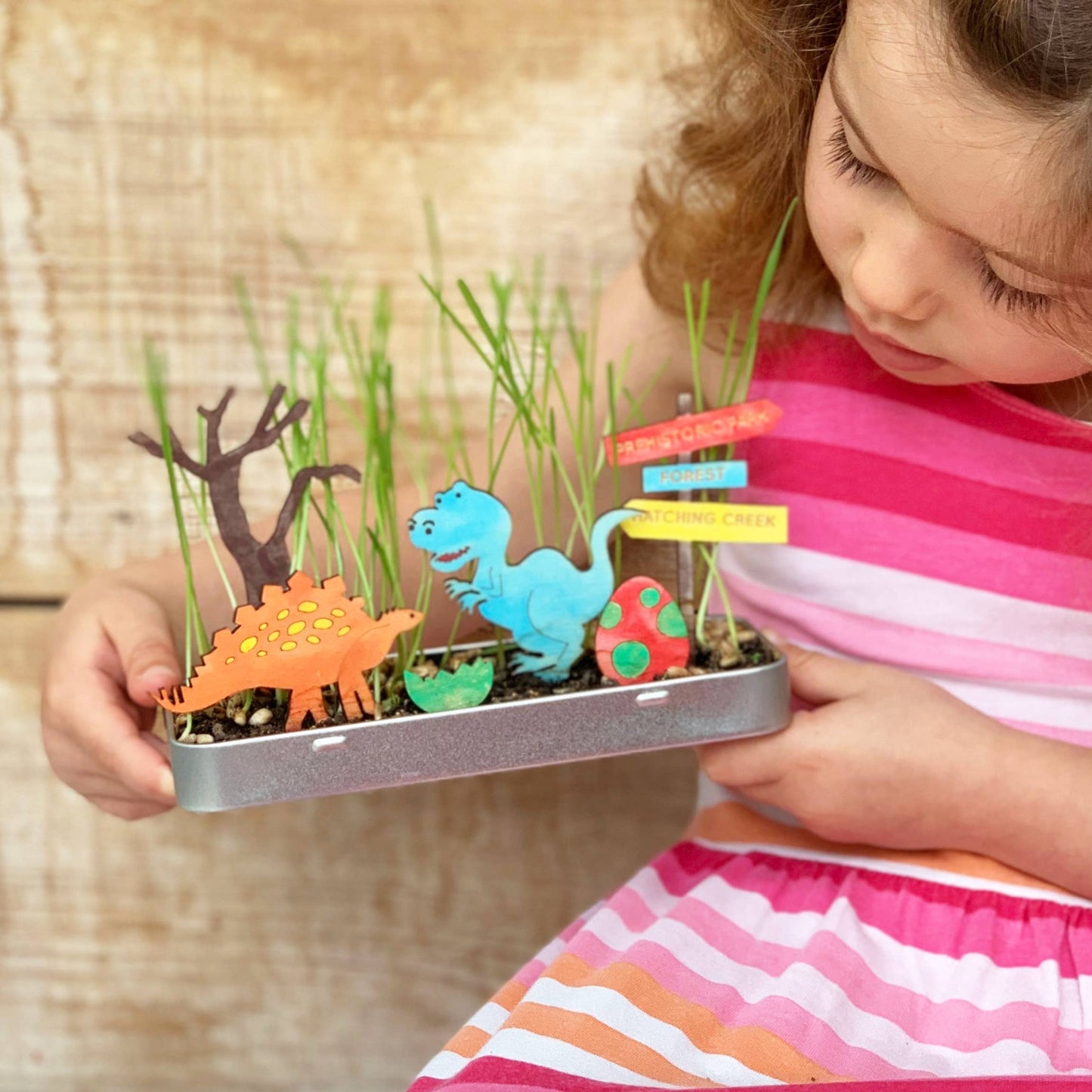 Make Your Own Dinosaur Garden