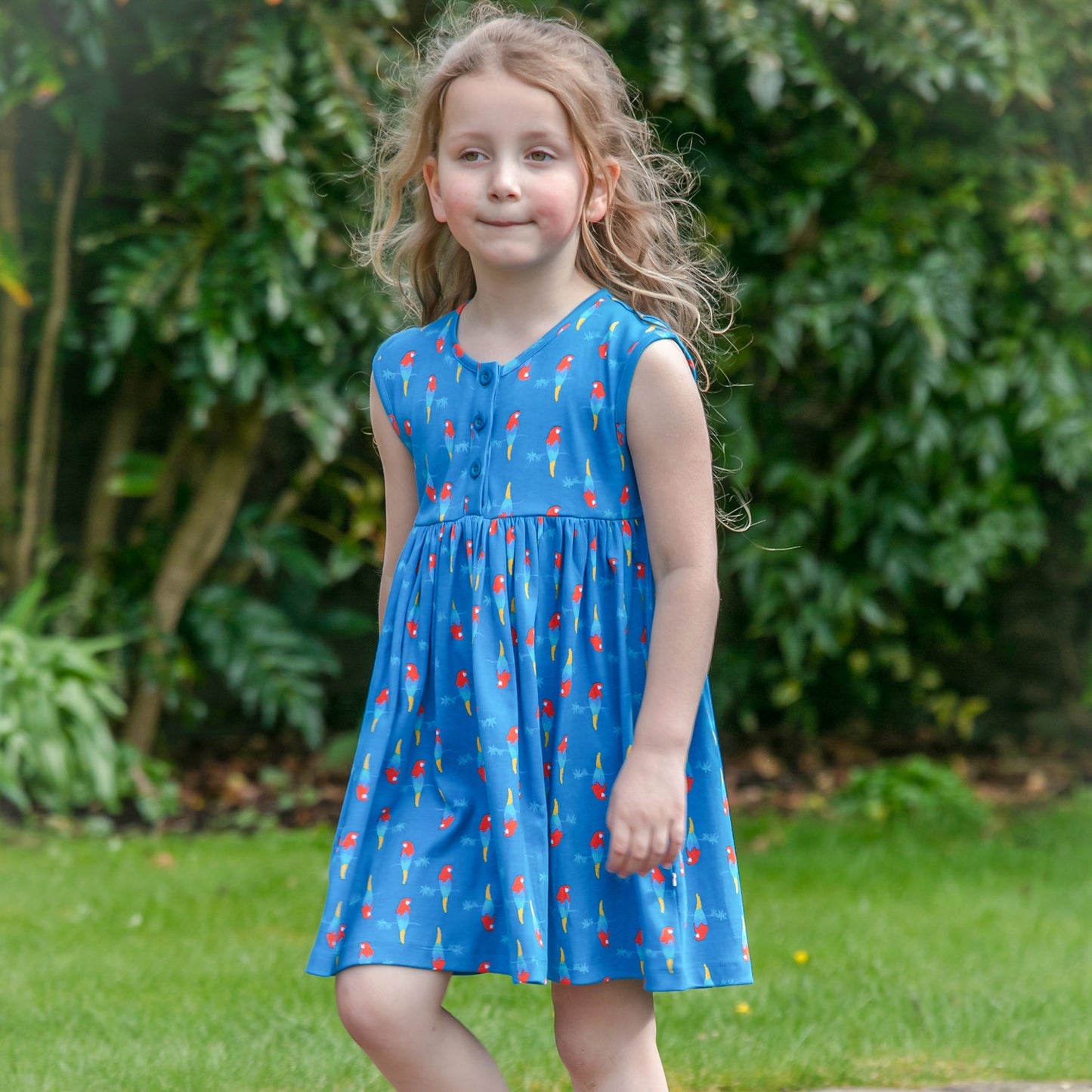 Piccalilly Button Dress - Parrot