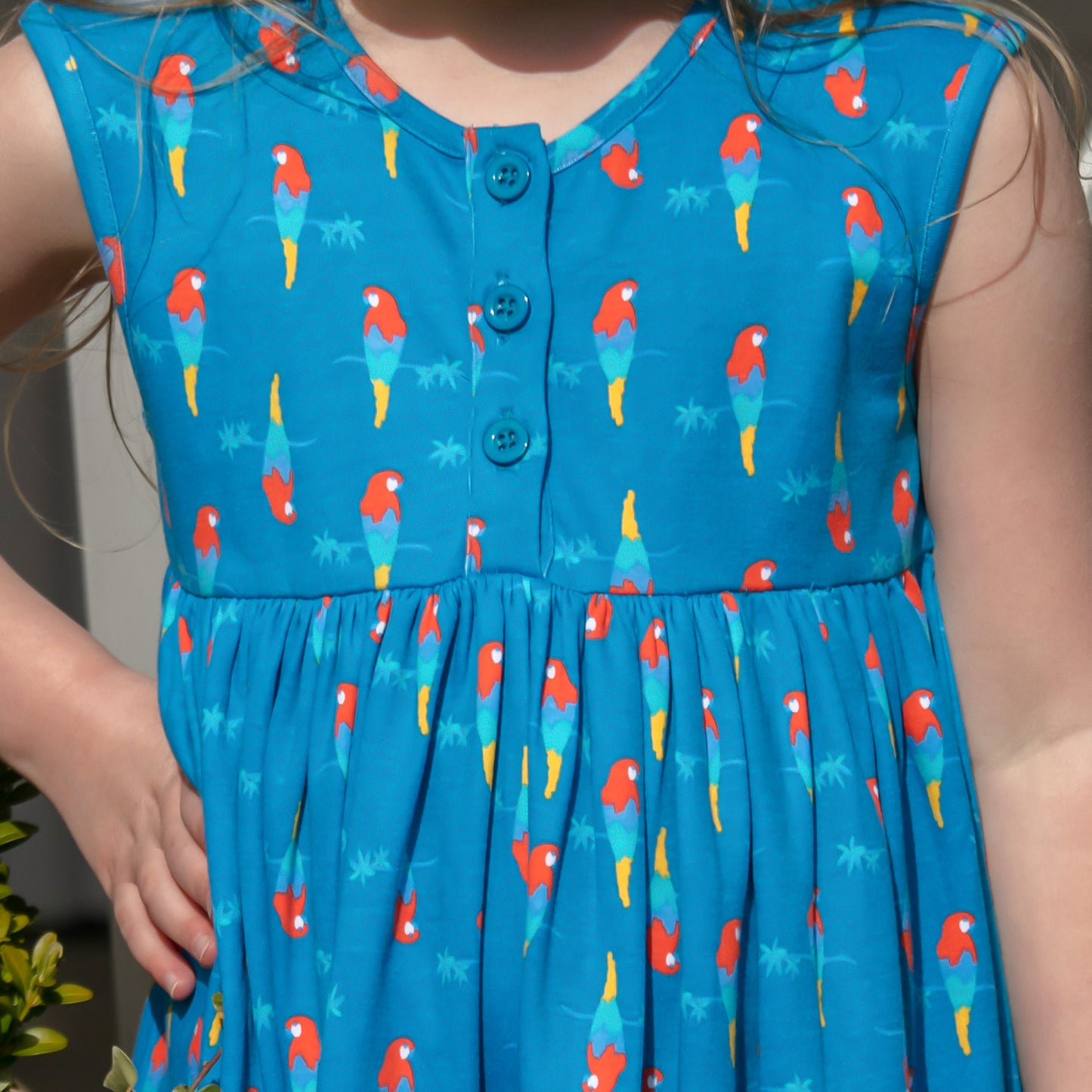 Piccalilly Button Dress - Parrot