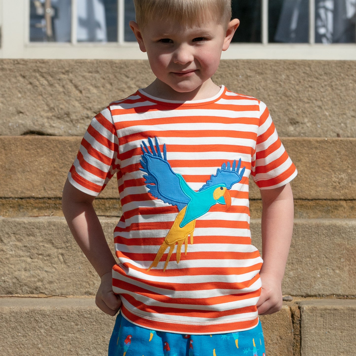 Piccalilly Kids T-Shirt - Exploring Parrot