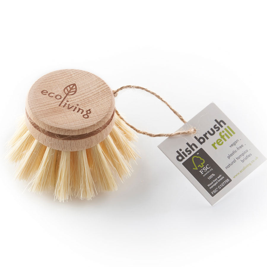 ecoLiving Wooden Dish Brush Replacement Head (FSC 100%)